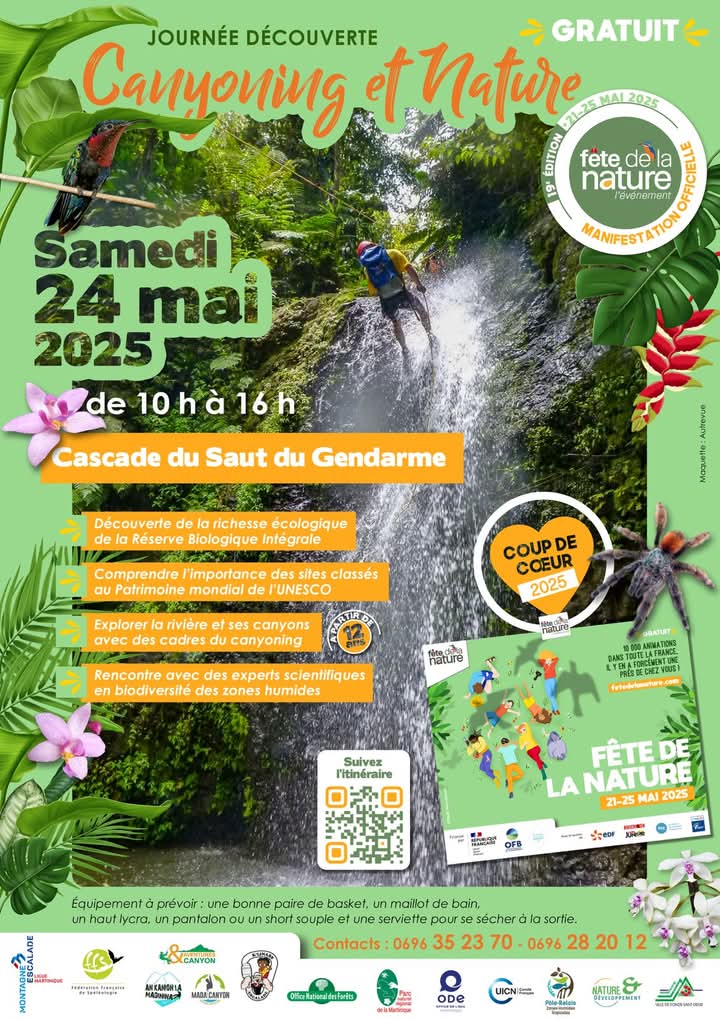 Arrière-plan